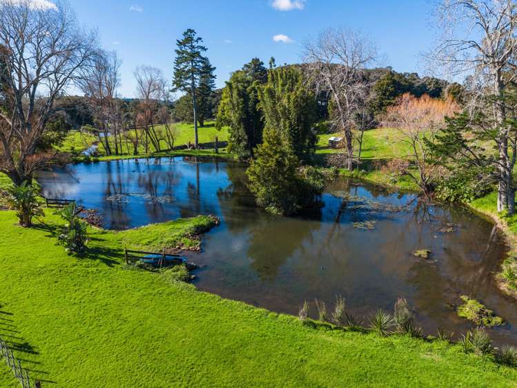 638 Ngunguru Road Glenbervie_21