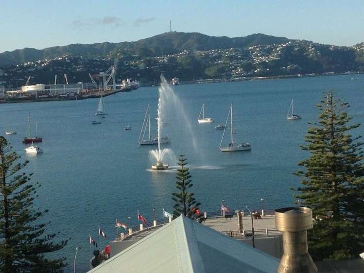 15 Hay Street Oriental Bay_0