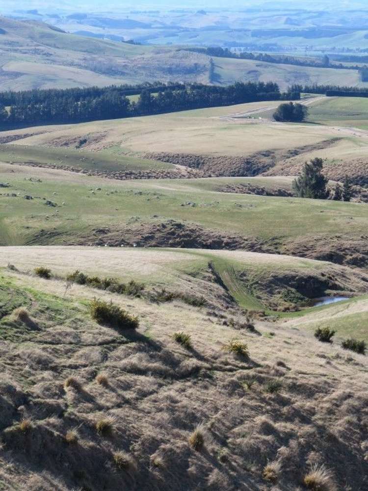 649 Kauru Hill Road Five Forks and Surrounds_25