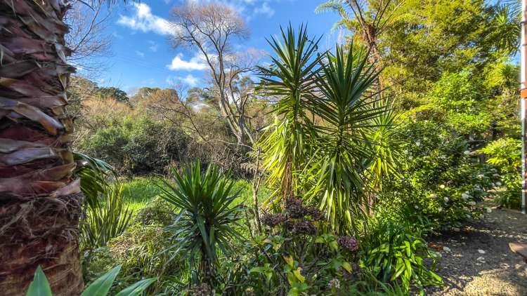 208 Mount View Road Thames_31