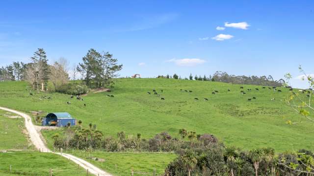 26 Bailey Road Wellsford_4