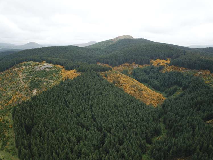 Palmerston-Waikouaiti Road Palmerston_12