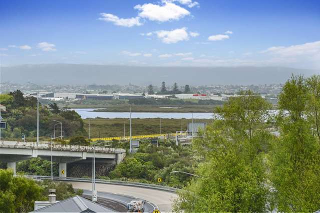 60 Miller Street Point Chevalier_2