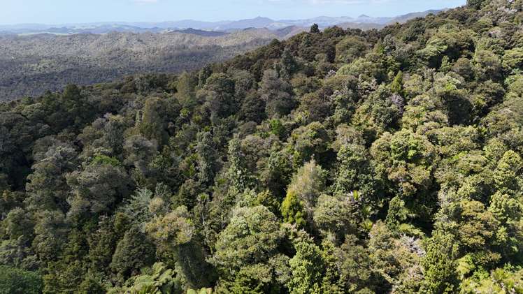 Otangaroa Side Road Kaeo_9