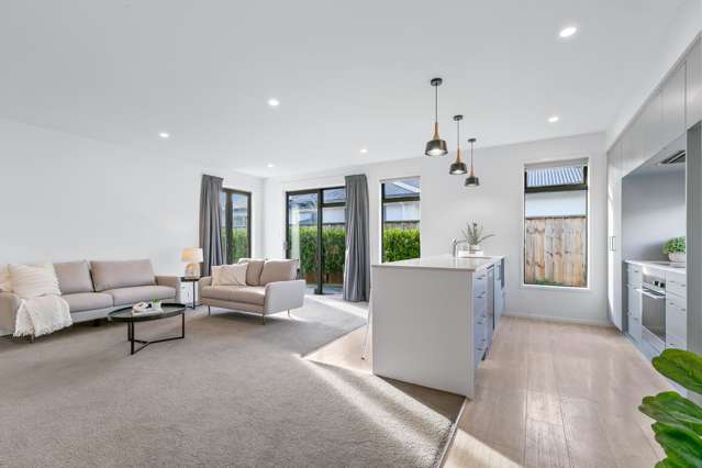 19A Trafalgar Street Levin_2