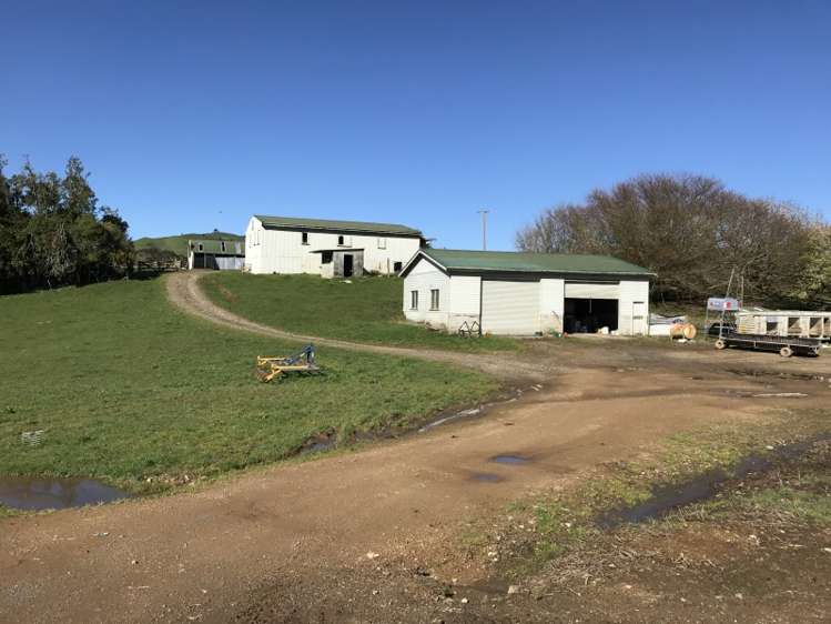 1232 Ngaroma Road Wharepuhunga_24