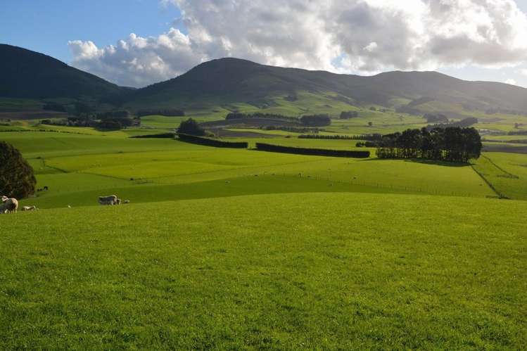 1551 Owaka Valley Road Catlins Surrounds_10