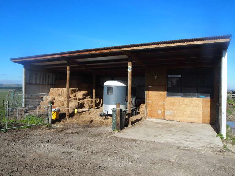 319 Porangahau Road Waipukurau and Surrounds_13