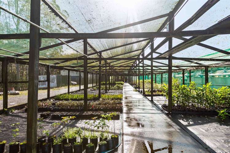 1285 Dairy Flat Highway Dairy Flat_23