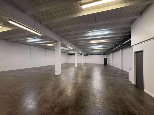 28A Norwich Street Eden Terrace_3