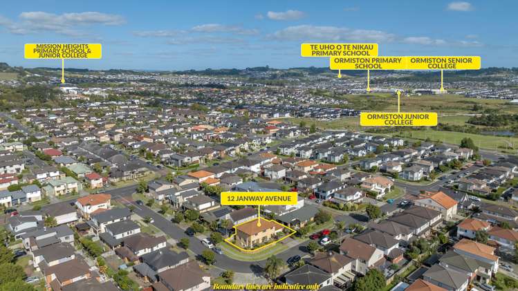 12 Janway Avenue Flat Bush_20