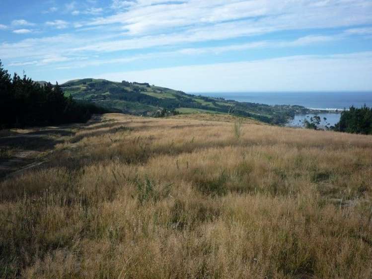 113 Wright Road Evansdale_5