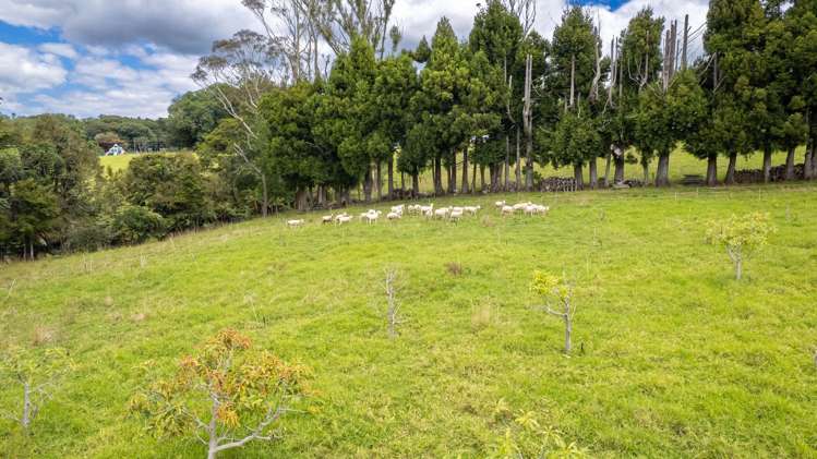 5631 State Highway 12 Kaikohe_24