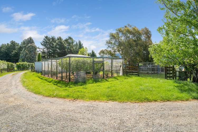 1944 State Highway 63 Wairau Valley_42