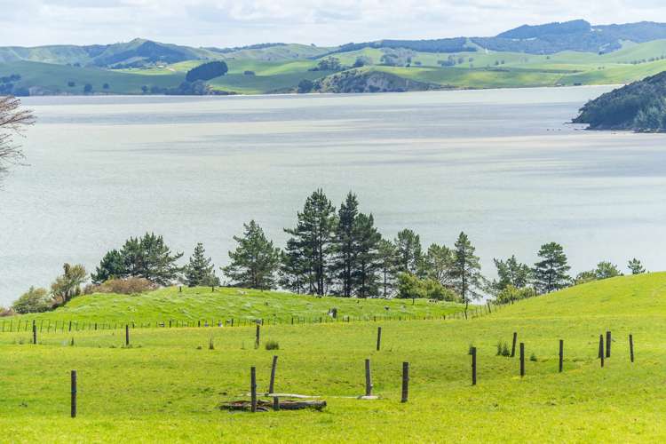 91 Beaver Road Wharehine_9