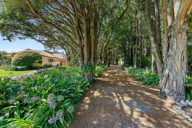 423 Otaki Gorge Road Te Horo_24