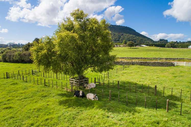 1528 State Highway 14 Maungatapere_19