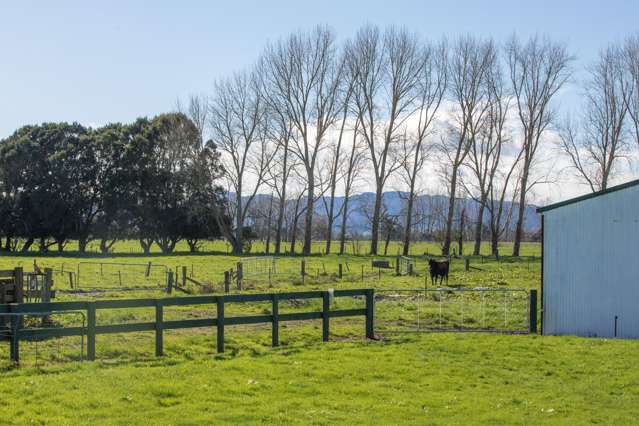 649 Wani Road Netherton_3