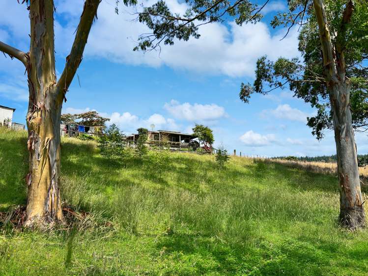 9c Mangaone Road Rotoma_18