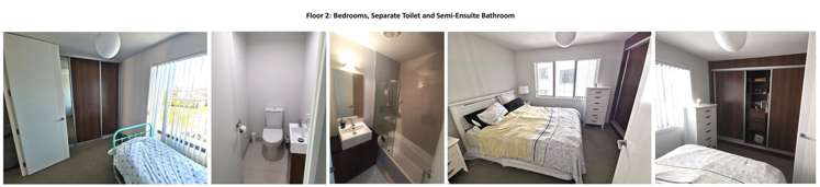 305 Murphys Road Flat Bush_6