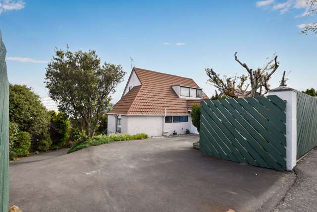 207 Larnach Road Waverley_4