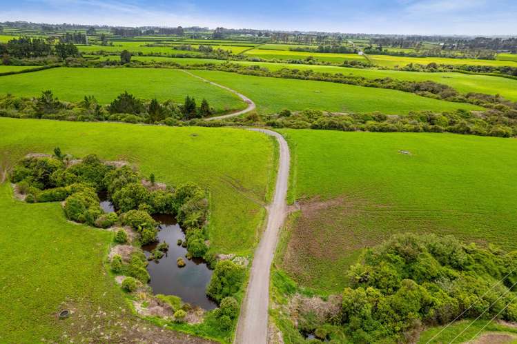 358 Opunake Road Cardiff_24