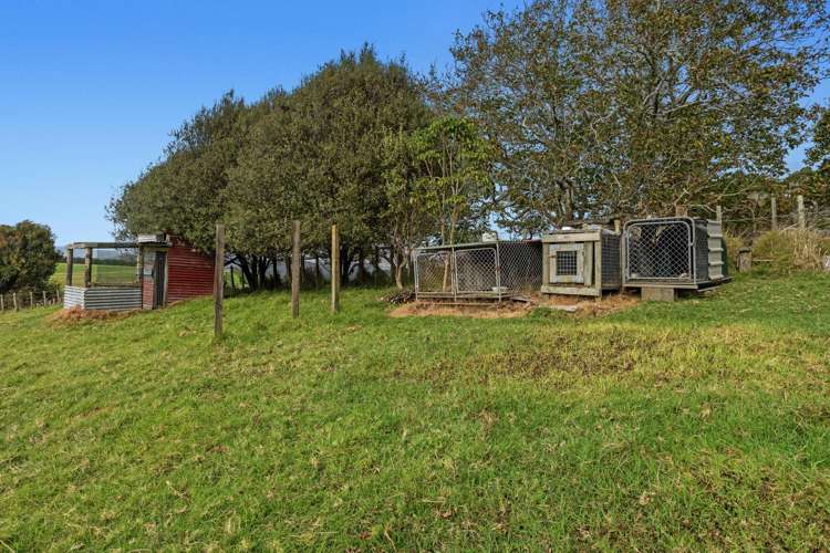 281 McCarthy Road Opotiki_5