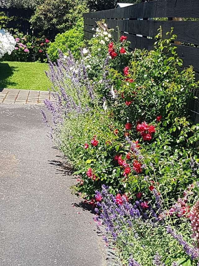 7A Graham Grove Waikanae_2
