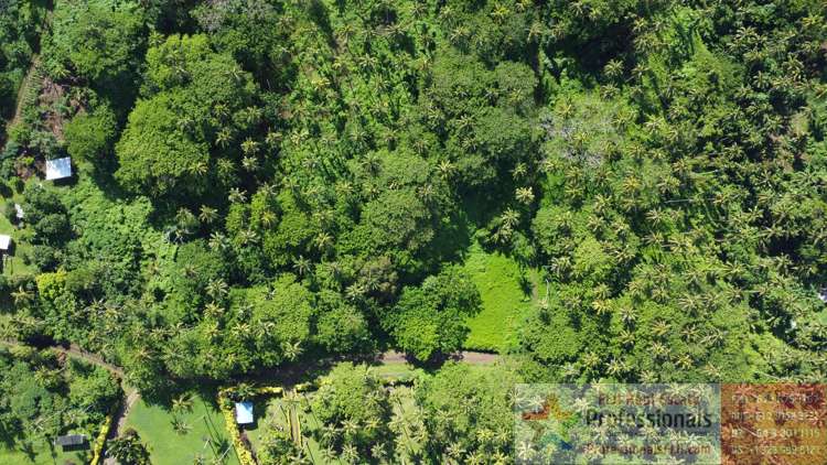 Address withheld Taveuni_14