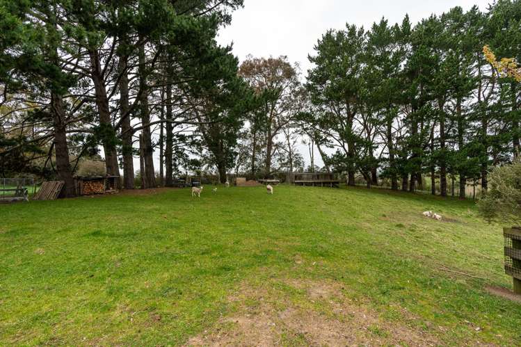 70 Karakariki Road Whatawhata_29