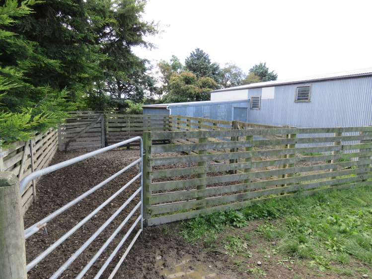 146 Elgin Road Elgin_8