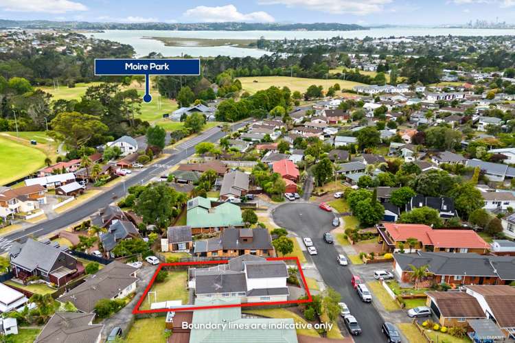 24 Petrel Place Massey_3