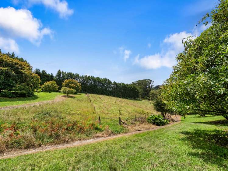 261 Wainui South Road Whakamarama_27