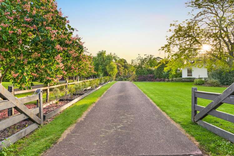 16 Langford Place Dairy Flat_2