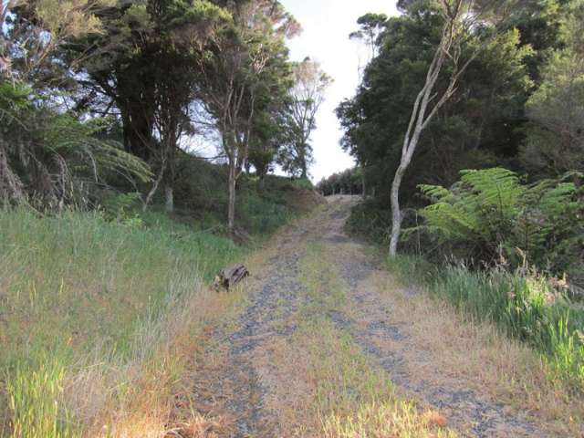 56 Kokopu Lane Mangawhai_2