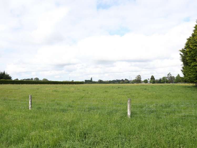 86 Carters Terrace Tinwald_2