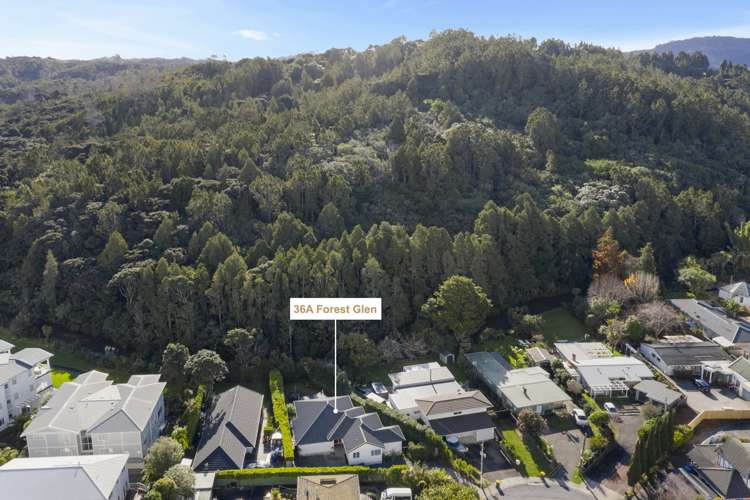 36a Forest Glen Orewa_18