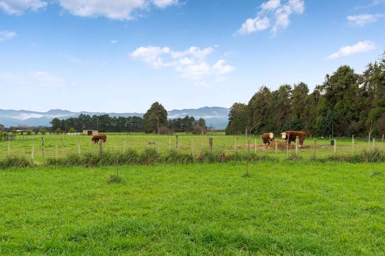 342 No 1 Line Tauwharenikau_23