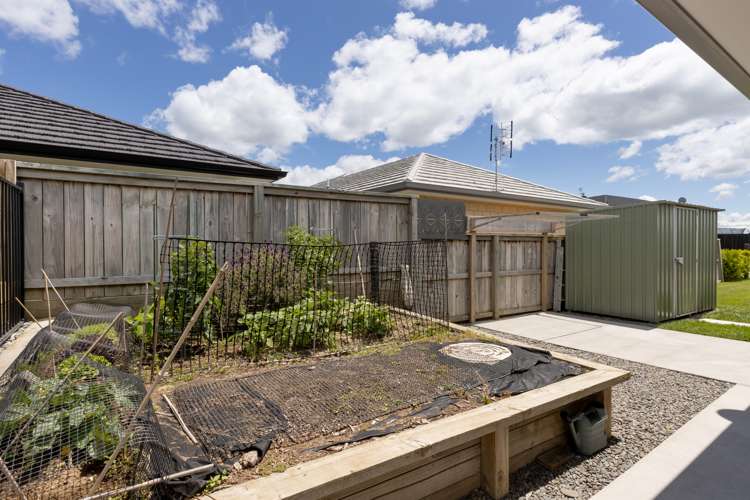 3b Richardson Road Omokoroa_26