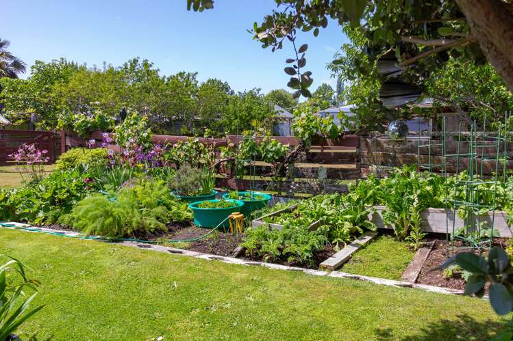 24 Wrigley Street Masterton_16