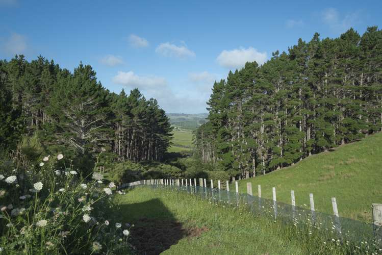 132b Dormer Road Waitoki_22