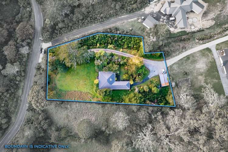 198 Birdwood Road Massey_19