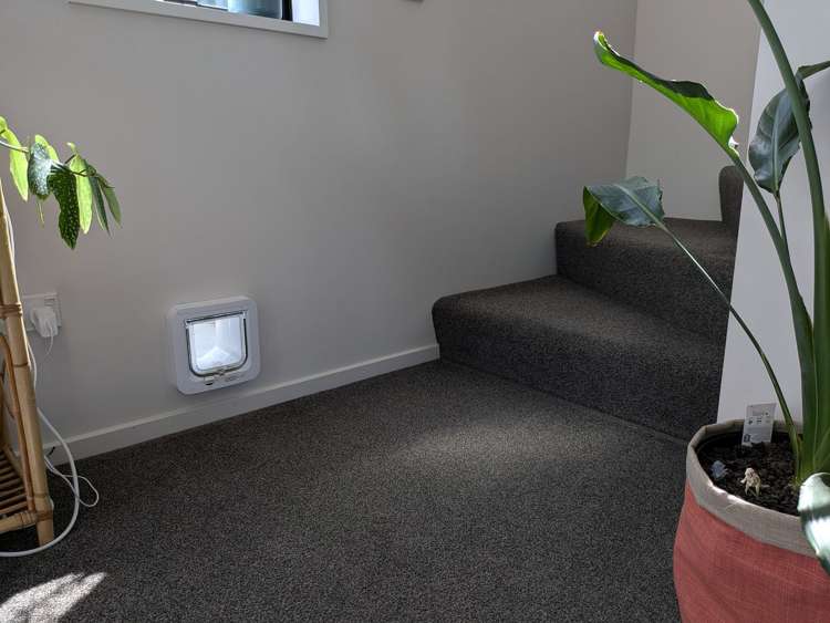 35a Wembley Street Sydenham_13