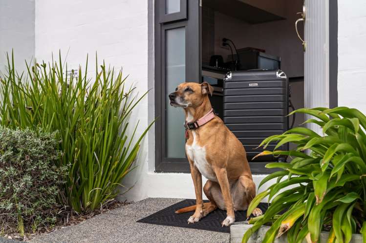 2/36 Kaipatiki Road Glenfield_17