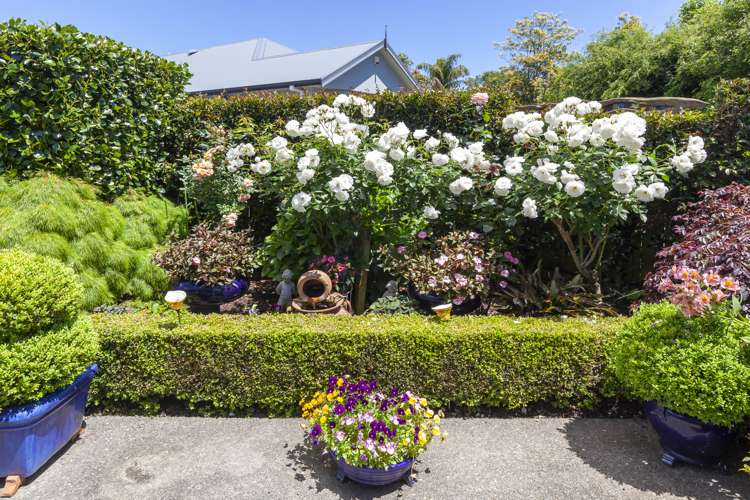 97 Park Avenue Waikanae_7