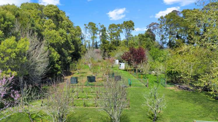 97f Poplar Lane Edgecumbe_18