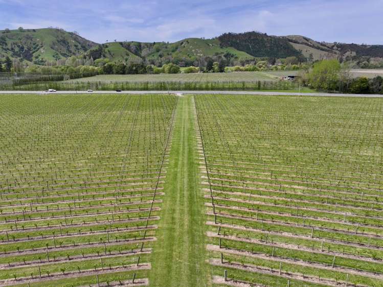 2057 Matawai Road Te Karaka_5