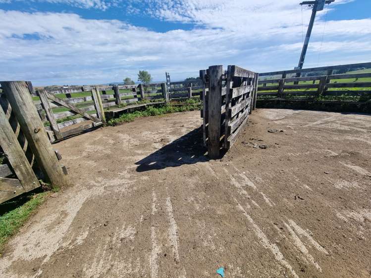 Paekaka Road Piopio_8