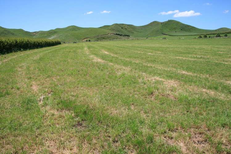 145 Bayly Road Huinga_17