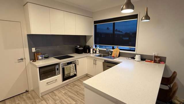 14A Vine Avenue Maungatapu_4
